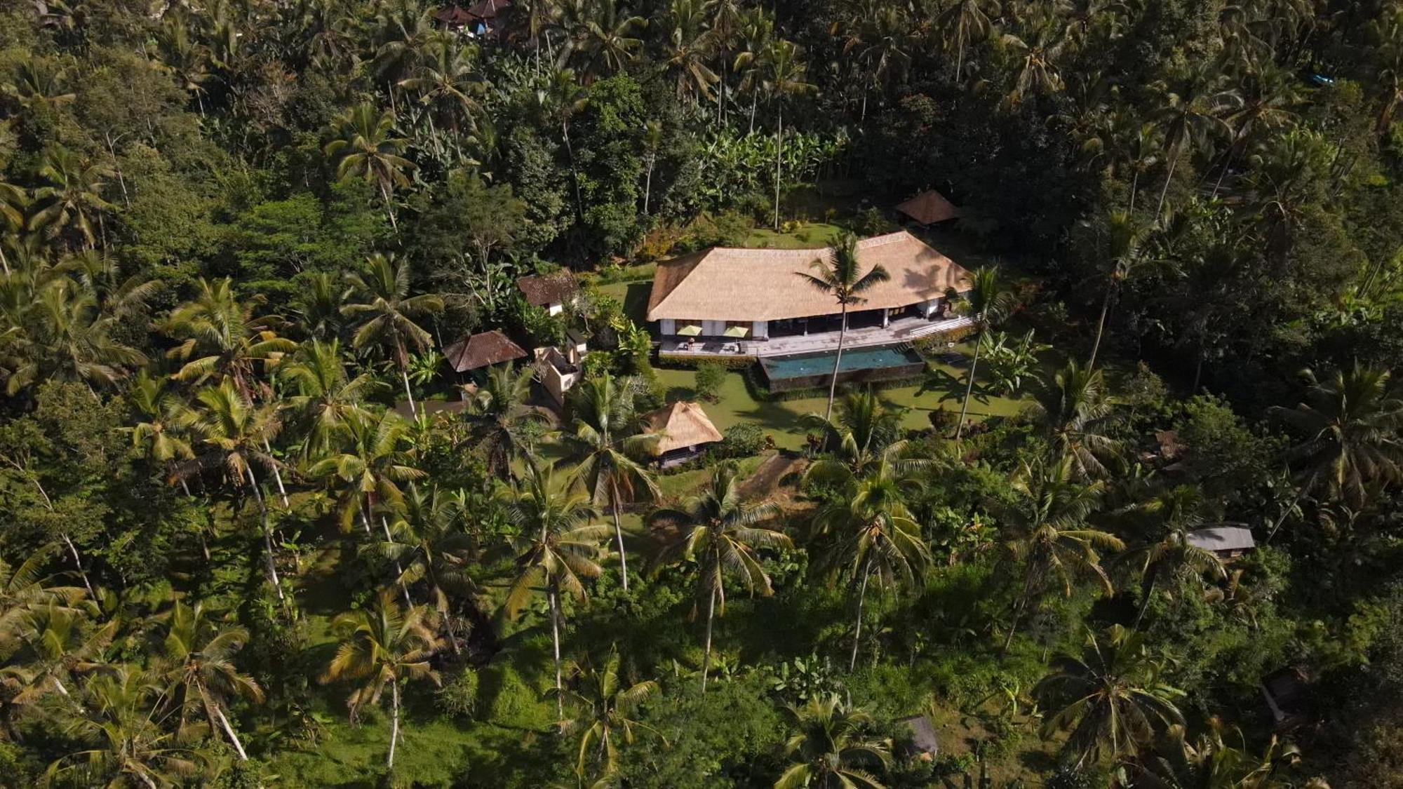 Villa Themma Jungle - Sumptuous 3Br Luxury Villa With Majestic Jungle View North Of Ubud Exterior foto