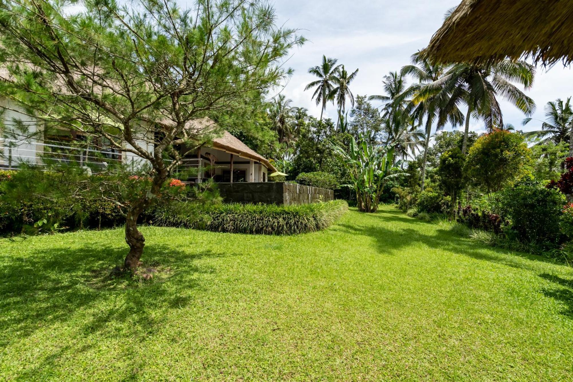 Villa Themma Jungle - Sumptuous 3Br Luxury Villa With Majestic Jungle View North Of Ubud Exterior foto
